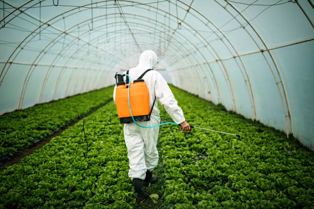 Best Cockroach Control Services  in Lla Lla East, WA