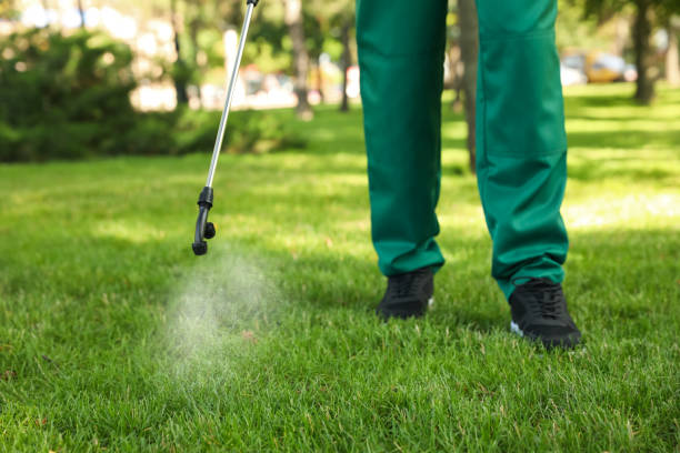 Best Affordable Pest Control Services  in Lla Lla East, WA