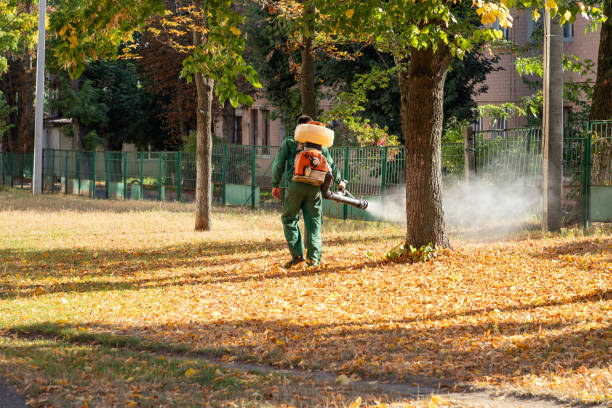 Best Emergency Pest Control  in Lla Lla East, WA