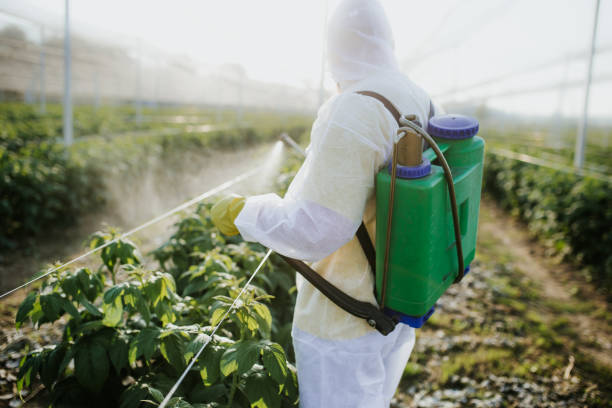 Best Best Pest Control Companies  in Lla Lla East, WA